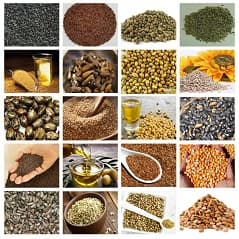 list item image